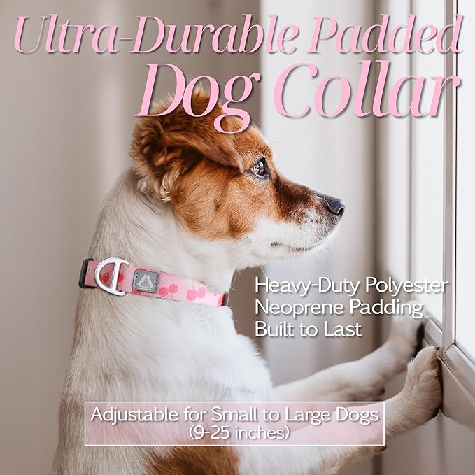 Girl Dog Collar, Pink Cute Cherry Pattern Adjustable Breathable Collar with Reflective Logo, Comfortable Padded Design Fits for Medium, Large Dogs, Neck Size 12’’-20’’ (Cherry, M)
