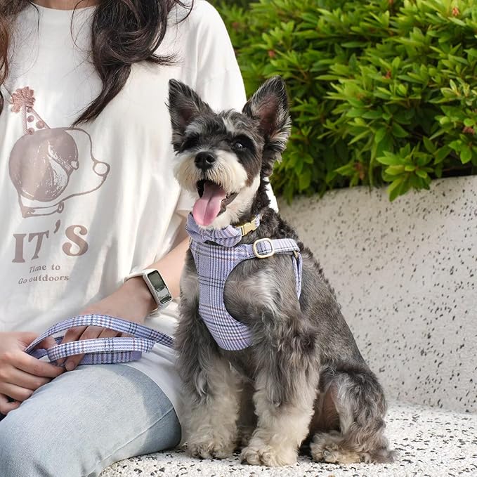 Beirui Cute Small Dog Harness Collar and Leash Set with Bowtie, Soft Adjustable Plaid Puppy Harness for Small Sized Dogs Cats Walks Parties and Photoshoots(Blue,XS:Chest 13-18")