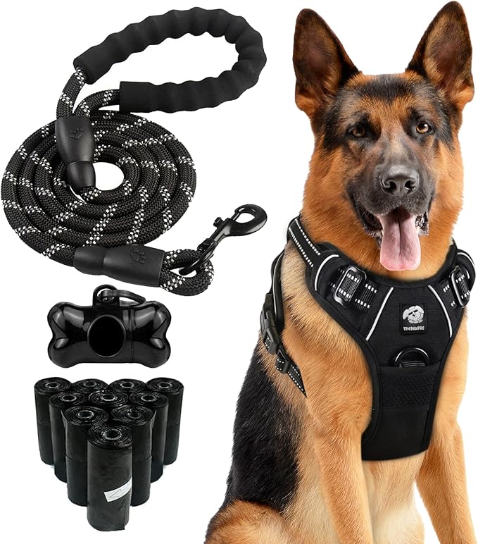 Dog Harness and Leash Set - No Pull Vest & Reflective Leash with Foam Handle, Adjustable Oxford Halter, for Walking & Training - Includes 150 Poop Bags & Bone-Shaped Dispenser - Black, M