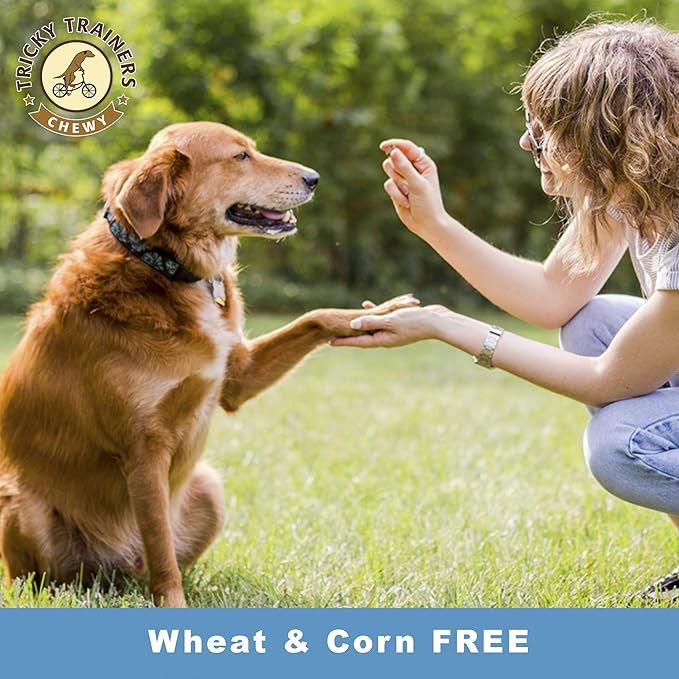 Cloud Star Tricky Trainers Chewy Dog Treats – Whole Grain Soft for Training, 14 Ounce (Pack of 2)