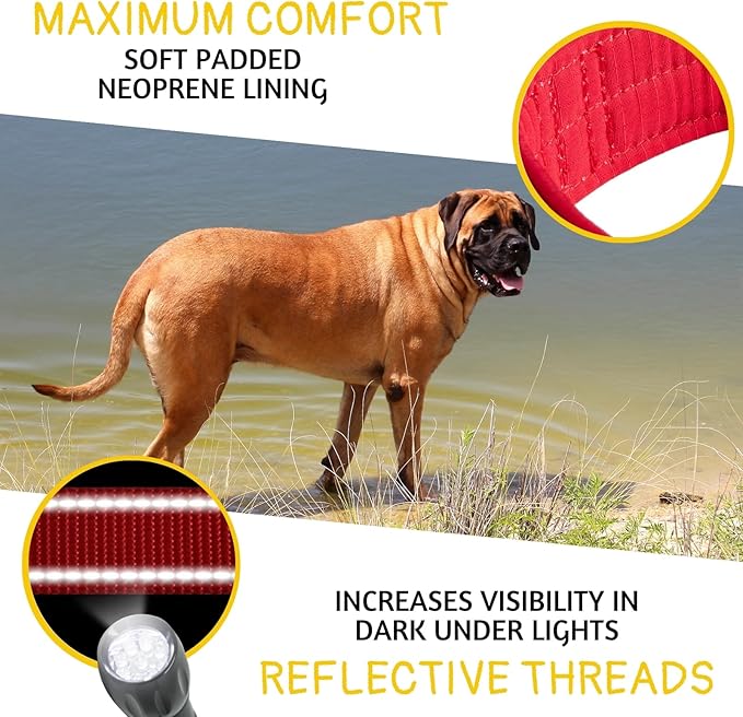ADITYNA - Giant Dogs Collar - Adjustable XXL Collar 30 to 36 Inches - Designed Exclusively for Extra-Large Dog Breeds Like Huge Mastiff, Kangal, Saint Bernard - Heavy Duty Collar with Handle