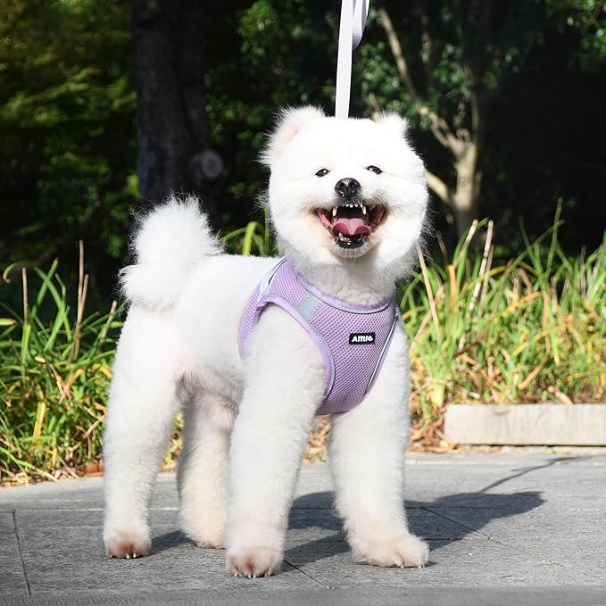 AIITLE No Pull Dog Harness and Leash Set, Step in Adjustable Dog Harness with Padded Vest for All Weather, Reflective Pet Harness, Easy to Put on Small Dogs Purple S
