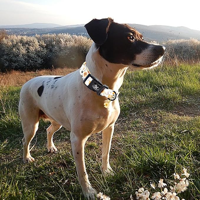 Elegant little tail Dog Collar, Flower Pattern Pet Collar Cute Durable Spring Female or Male Adjustable Cotton Pet Collar with Quick Release Buckle for Large Dogs