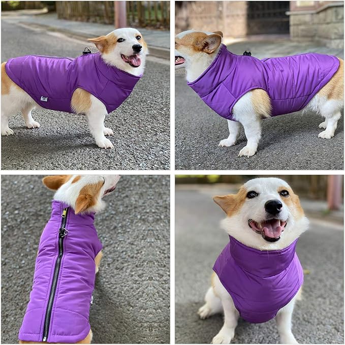Purple Dog Winter Vest with Cotton Lining, Waterproof Ultra Warm Coat, Windproof Zippered Jacket, Breathable Soft Coat for Small to XXXL Dogs