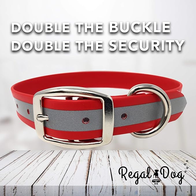 Regal Dog Products Large Red Reflective Dog Collar and Leash Set - Waterproof Biothane Dog Collar with Heavy Duty Double Buckle, D Ring & 5ft Leash - Other Size for Medium & Large Dog
