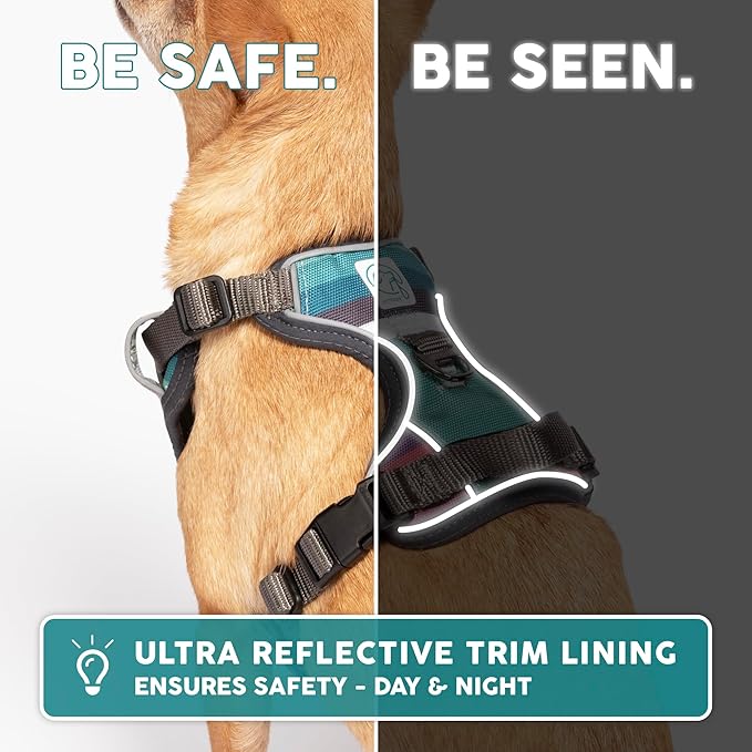 Embark Adventure Dog Harness, Reflective Trim XL Dog Harness for Extra Large Dogs No Pull - Military Grade Nylon, 2 Leash Clips & Gel Lined Handle. Soft & Padded Puppy Harnesses for Any Breed