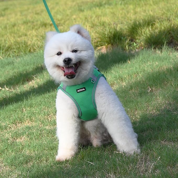 AIITLE No Pull Dog Harness and Leash Set, Step in Adjustable Dog Harness with Padded Vest for All Weather, Reflective Pet Harness, Easy to Put on Small Dogs Green S