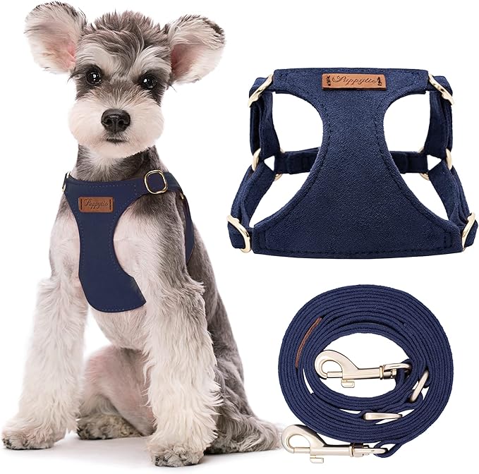 Puppytie No Pull Small Dog Harness with Multifunction Dog Leash,Lightweight Soft Adjustable No Choke Escape Proof Pet Harness Vest Pet Harness Vest,Navy,S