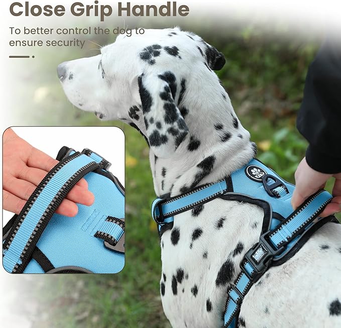 FURRYFECTION Dog Harness | No Pull Dog Harness | Reflective Oxford | Padded Handle | 4 Adjustable Straps | 2 Leash Clips | No Choke Pet Vest Harness for Small Medium Large Dogs | Blue | M