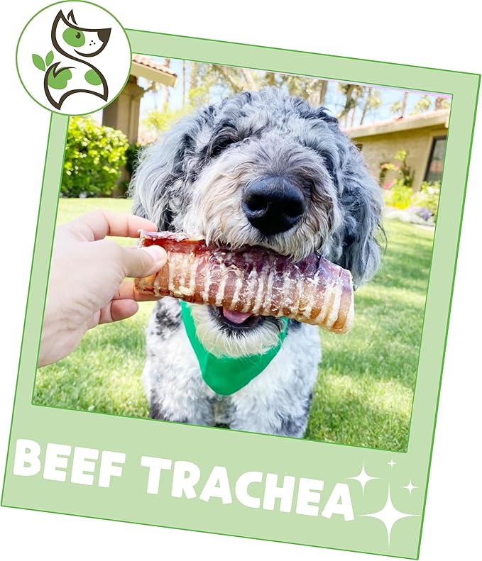 Nature Gnaws Beef Trachea Chews for Dogs 6" (6 Count) - Long Lasting Natural Crunchy Dog Chew Bones - Rawhide Free