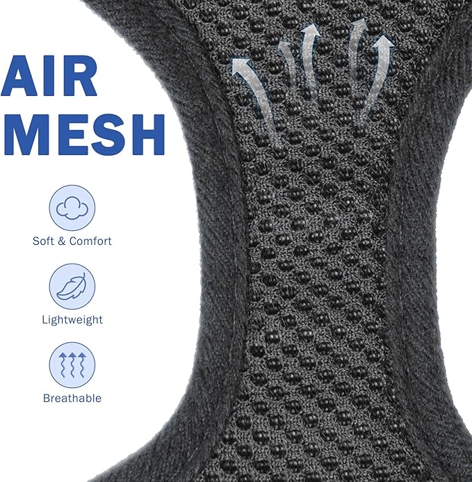 SCENEREAL No Pull Dog Harness Collar and Leash Set Small Medium Sized Dog, Soft Mesh Step in Puppy Harnesses, No Chock Plaid Adjustible Pet Vest for Outdoor Walking Training and Running, Black XS