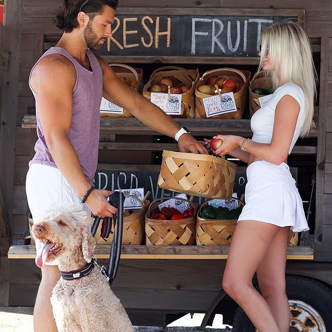 Black Rhino Dog Collar for Large Dogs - Adjustable Reflective Heavy Duty Dog Collars with Ultra-Soft Neoprene Padding - Weatherproof, Durable, and Comfortable for Active Dogs - Burgundy and Black