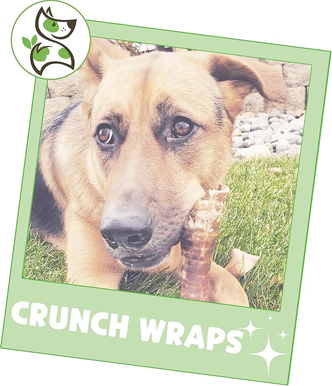 Nature Gnaws Beef Trachea Crunch Wraps for Dogs (3 Count) - Long Lasting Natural Beef Jerky Dog Chew Bones - Rawhide Free (Pack of 2)