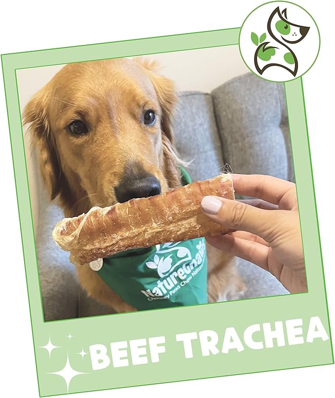 Nature Gnaws Beef Trachea Chews for Dogs 6" (6 Count) - Long Lasting Natural Crunchy Dog Chew Bones - Rawhide Free (Pack of 2)