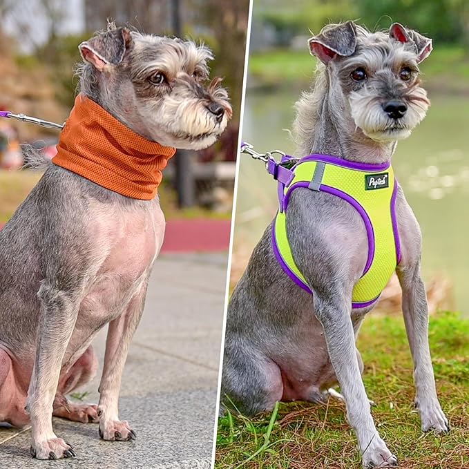 PUPTECK Adjustable Dog Harness Collar and Leash Set Step in No Pull Pet Harness for Small Medium Dogs Puppy and Cats Outdoor Walking Running, Soft Mesh Padded Reflective Vest Harnesses, GreenYellow L