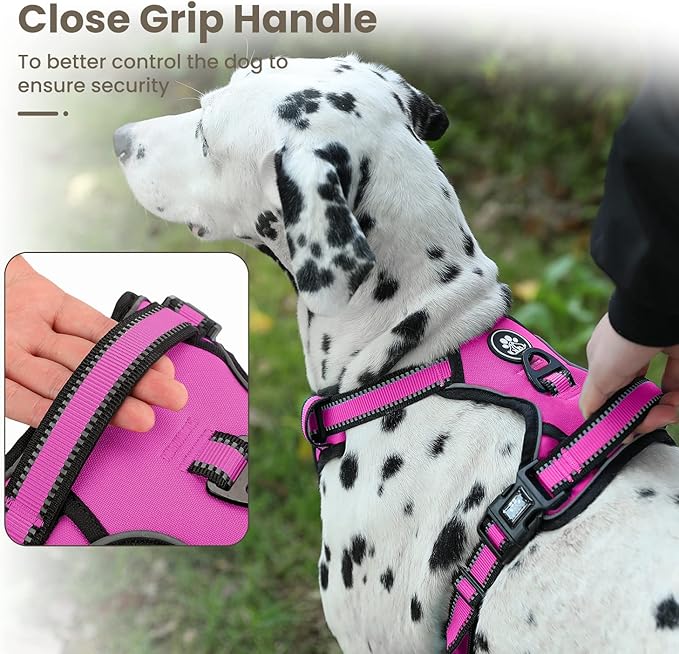 FURRYFECTION Dog Harness | No Pull Dog Harness | Reflective Oxford | Padded Handle | 4 Adjustable Straps | 2 Leash Clips | No Choke Pet Vest Harness for Small Medium Large Dogs | Rose | S