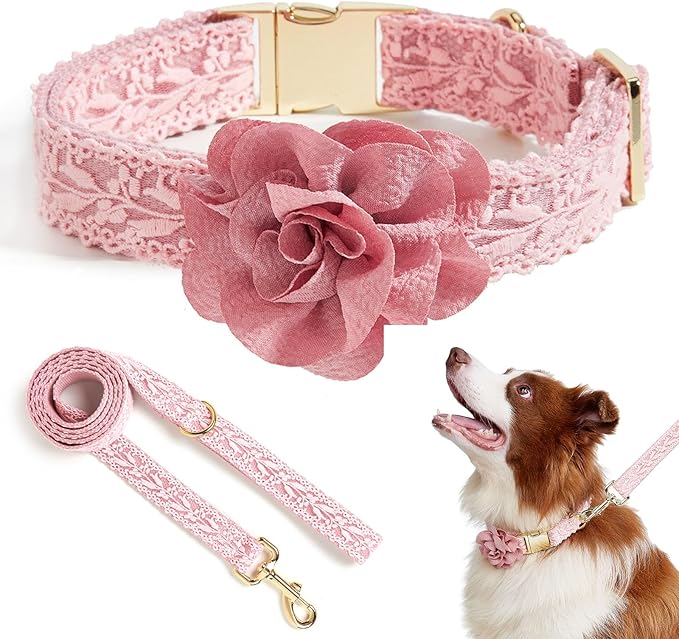Summer Girl Dog Collar and Leash Set Soft Cotton Lace Handmade Embroidered Personalized Designer Heavy-Duty Dog Collars for Large Dogs,L