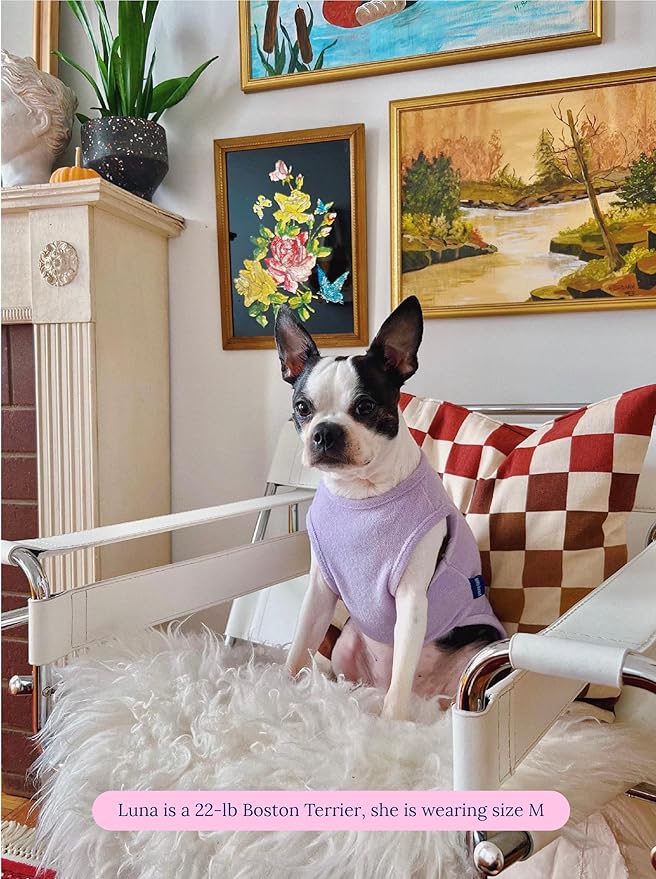 ADEDAS Sleeveless Shirt - Purple L