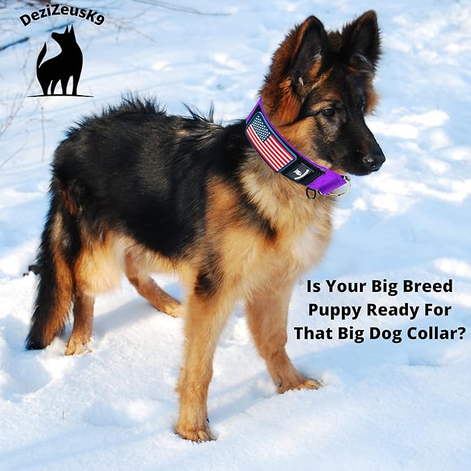 Tactical Dog Collar 2 Inch Wide Thick Heavy Duty Military Style with Metal Buckle, Adjustable for Medium - Large Breeds, Durable K9 Training Gear with Patch Area, USA Flag Patch, Strong and Secure Fit