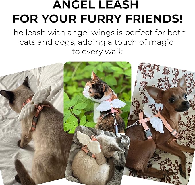 Angel Wings Pet Harness and Leash Set for Dogs & Cats, Adjustable I-Shaped Chest Strap, Padded Anti-Break Rope