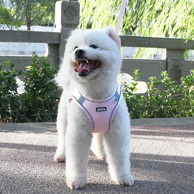 AIITLE Small Dog Harness, No-Pull Cat Harness with a Leash, Step in Adjustable Puppy Harness with Quick-Release Buckle, Reflective Outdoor Pet Vest for Extra Small Dogs and House Cats Pink XXS