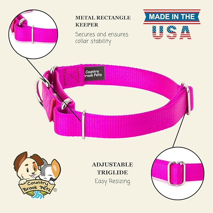 Country Brook Petz Martingale Dog Collar - Heavy-Duty Training Collar with No Buckle - Service Dog Collar for All Pups - Vibrant, Colorful Collection (Fuchshia, 5/8 Inch, Extra Small)