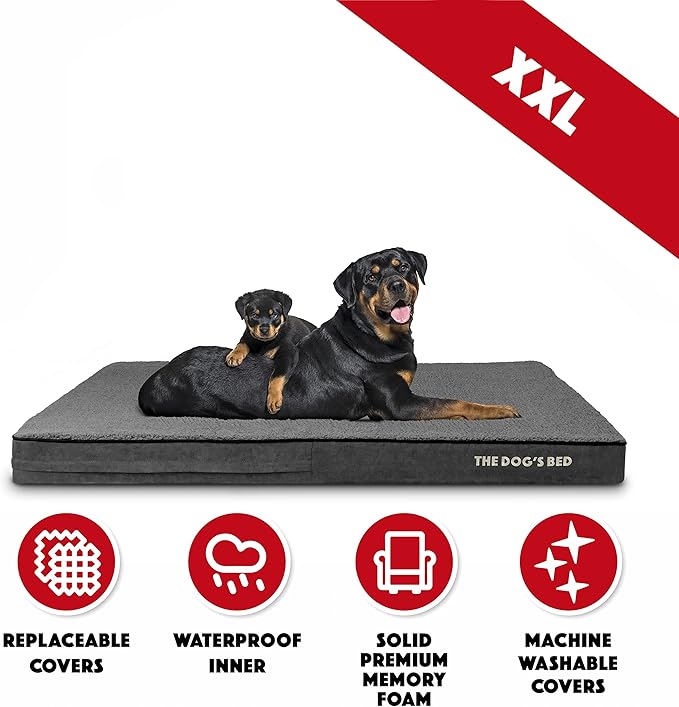 The Dog’s Bed Orthopedic Memory Foam Dog Bed, 2XL Grey Plush 54x36x4, Pain Relief for Arthritis, Hip & Elbow Dysplasia, Post Surgery, Lameness, Supportive, Calming, Waterproof Washable Cover