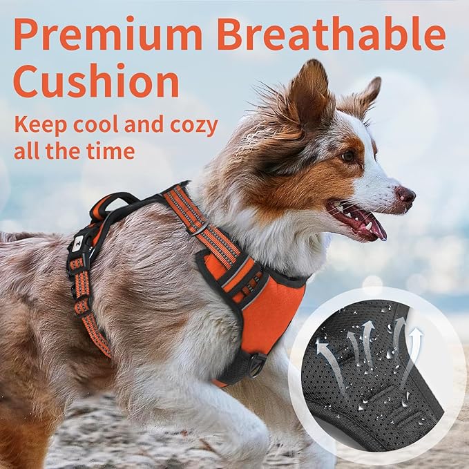 Dog Harness, No-Pull Pet Breathable Harness, Adjustable Soft Padded Dog Vest with 2 Leash Clips, Reflective No-Choke Pet, Easy Control Handle for Large Dogs, Orange, S
