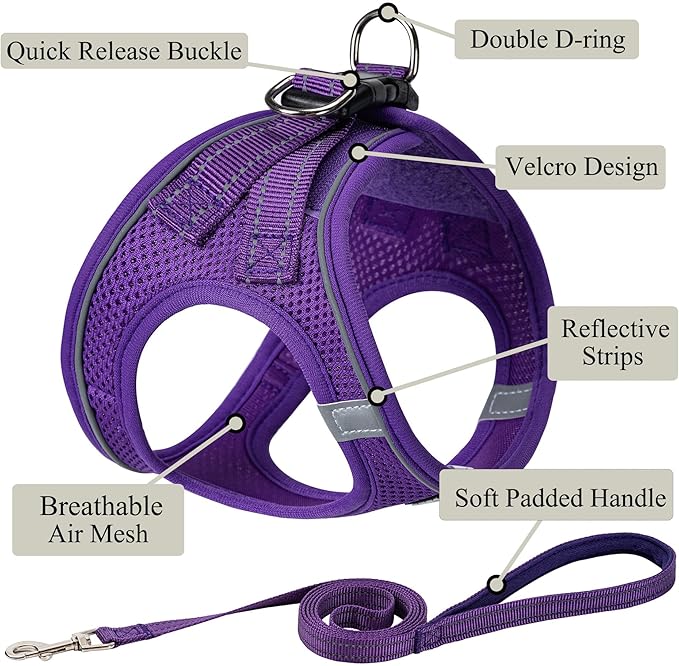 Dog Harness with Leash Set, No Pull Adjustable Reflective Step-in Puppy Pet Vest Harnesses for Small Medium Large Dogs and Cats,Purple XS