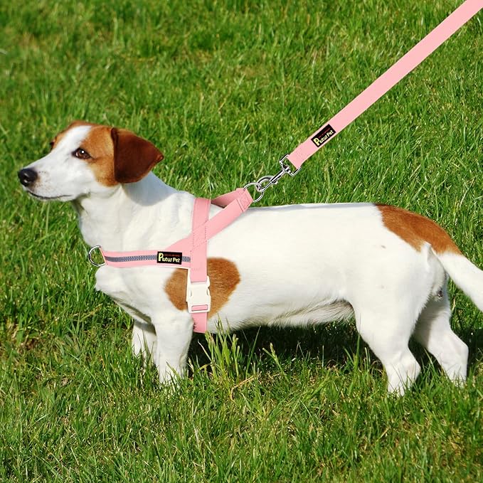Plutus Pet Cotton Dog Harness and Leash Set, Reflective and Soft Padded, Quick Fit Vest Harness, for Small, Medium and Large Dogs, Pink, M
