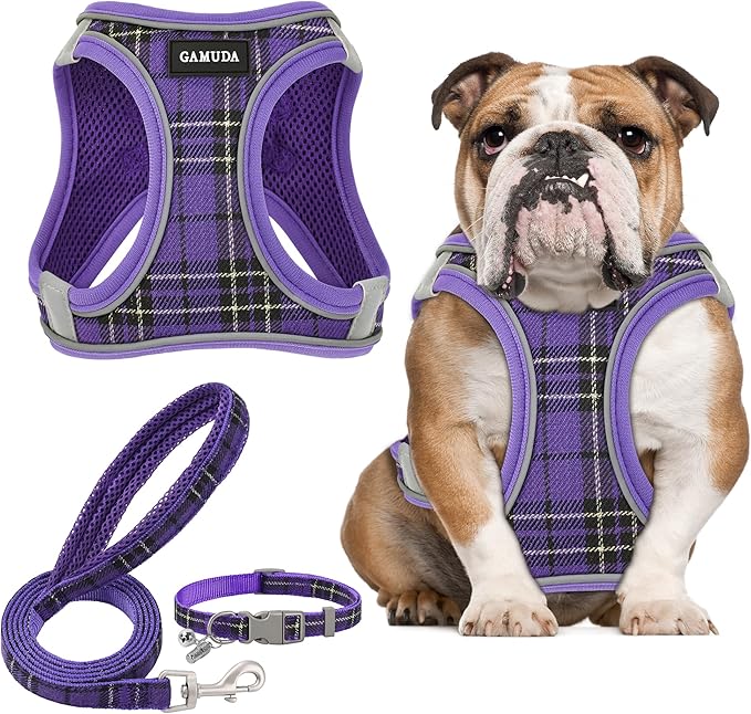 GAMUDA Small Dog Harness Collar and Leash Set, Step in No Chock No Pull Soft Mesh Adjustable Dog Vest Harnesses Plaid Reflective for Dogs Puppy Cats Kitten Rabbit (Purple, XL)