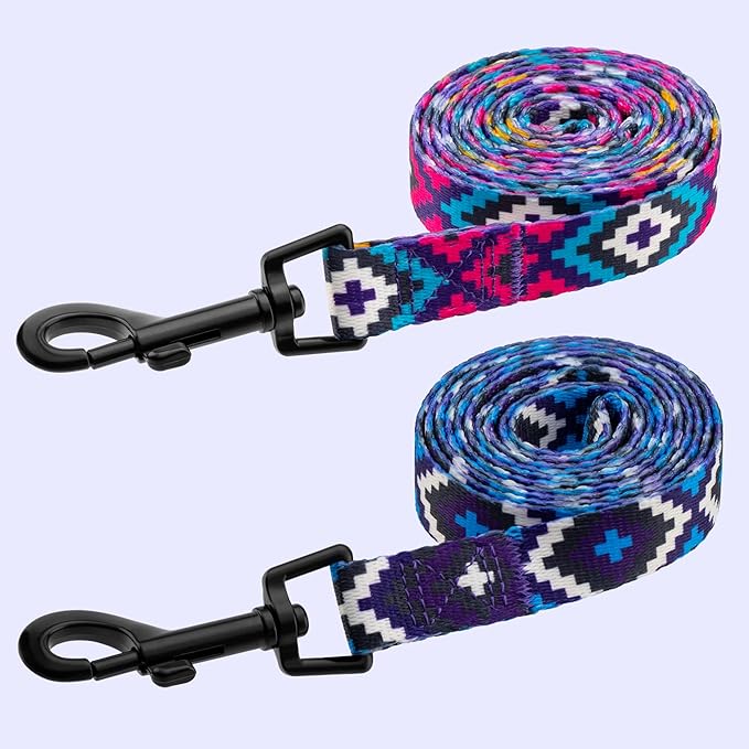 CollarDirect Aztec Dog Leash Nylon Tribal Pattern Cat Pet Leashes for Small Medium Large Dogs Puppy Lead 5 FT Long for Walking (Pattern 2, S, New)
