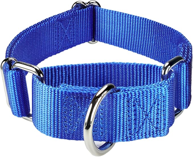Mikivery Martingale Dog Collar Nylon Adjustable and Safety Training Colourful Comfortable Metal Buckle Pet Collars for Small Medium and Large Dogs(Royal Blue,M)