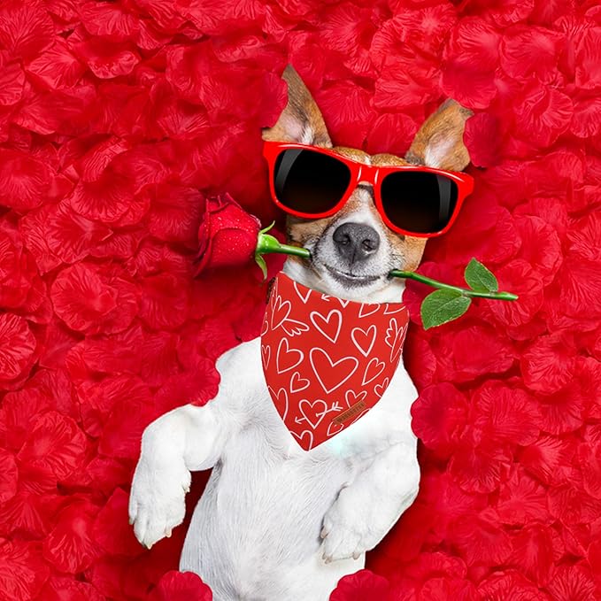 ADOGGYGO Valentine Dog Bandanas, Red Pink Heart Pet Scarf, Multi Size Offered, White Red Valentine Bandana for Medium Large Dogs (Large)
