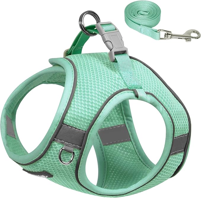 AIITLE Dog Harness No Choke Over, Step in Adjustable Dog Harness with a Leash, Breathable Mesh and Quick-Release Buckle - Outdoor Walking, Training, Running for Medium Dogs Turquoise L