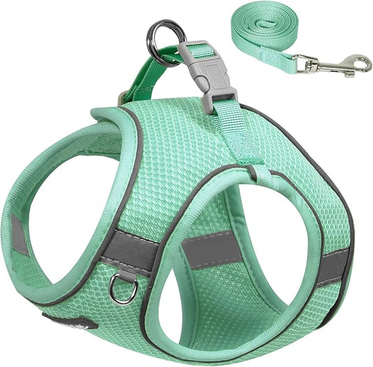 AIITLE Dog Harness for Medium Sized Dog, No-Pull Dog Vest with a Leash, Breathable Mesh, Reflective Stripes, Escape Proof Pet Outdoor Harnesses Puppy Essentials for Medium Dogs Turquoise M