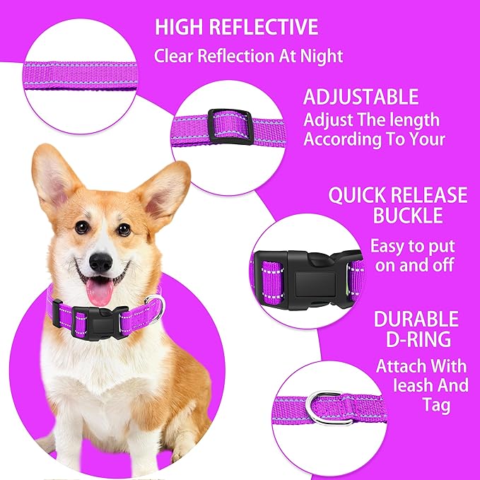 Reflective Dog Collar with Safety Locking Buckle, Adjustable Soft Breathable Nylon Collars for Small, Medium and Large Dogs(Collar+Leash XS Width 5/8" Rosered)