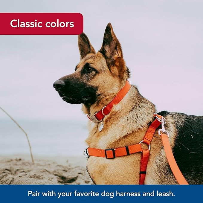 Coastal Pet Adjustable Dog Collar with Metal Buckle - Comfortable Fade-Resistant Dog Collar with Snap Lock - Perfect for Walking & Tie Outs - Red - 3/4" x 14" - 20"