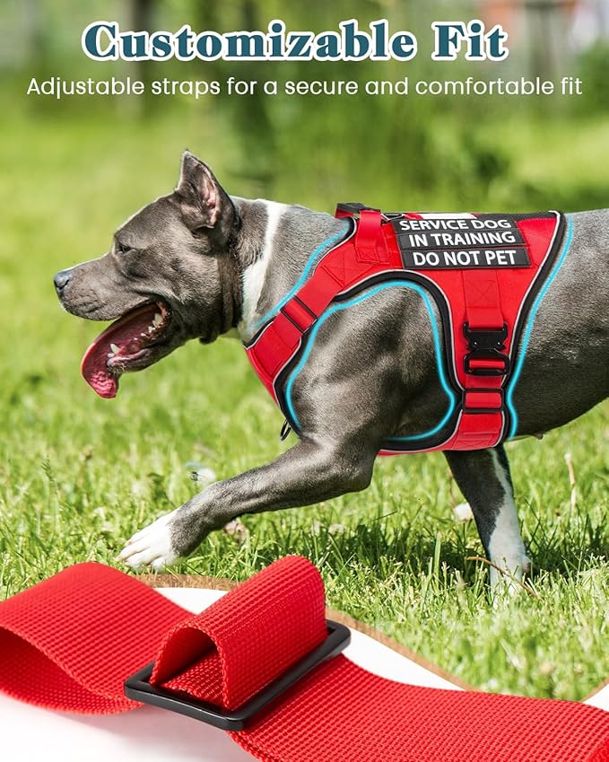 Reflective No Pull Service Dog in Training Vest Harness for Medium Large Dogs, Red Metal Buckles Front Clip Comfort Padded Adjustable Dog Harness with Do Not Pet Patches for Training Walking
