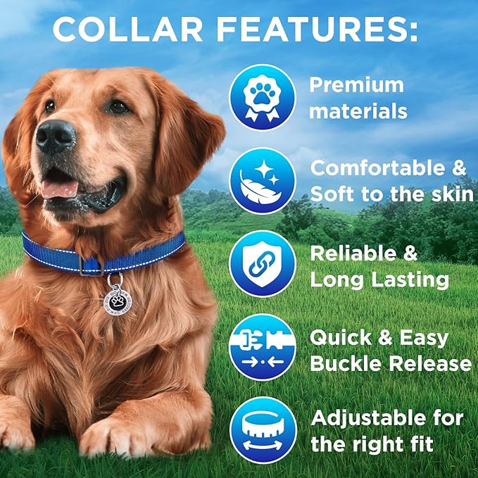 TECEUM Reflective Pet Collar – Navy Blue – M – Extra Soft Padding – Basic Nylon Dog Collar – Quick Release Buckle – Fits Small, Medium and Large Dogs, Puppies, Cats – ESA & Service Dog Options