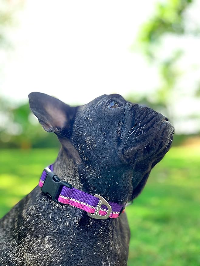 Tuff Pupper Heavy Duty Collar | Reflective with Aluminum D-Ring | Separate Dog ID Tag Attachment | Easy Sizing for All Breeds