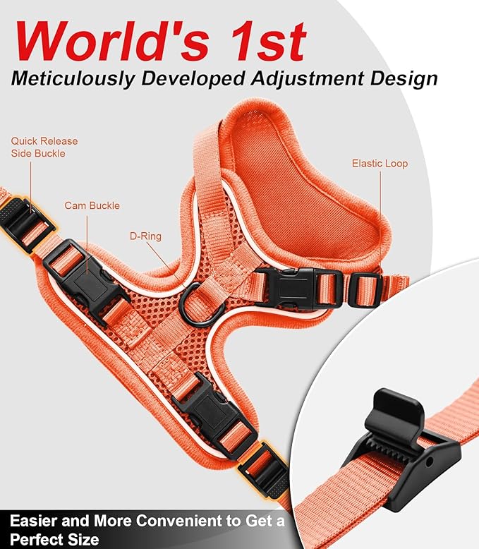 Cat Harness and Leash for Walking Escape Proof Soft Adjustable Cat Leash Breathable Comfortable Vest Easy to Wear Kitten Harness for Outdoor Travel Orange S