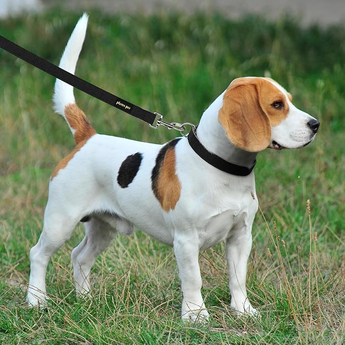 Plutus Pet Cotton Hemp Dog Collar and Leash Set, Adjustable Collar for Small, Medium, and Large Dogs, Heavy Duty and Soft on Skin, Black, L