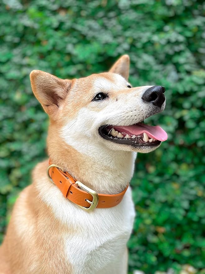 Tuff Pupper Classic Heavy Duty Dog Collar | 10x Stronger Than Leather | 100% Waterproof & Odor Proof Dog Collar | Tough Rust-Proof All Metal Hardware