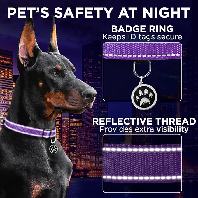 TECEUM Reflective Pet Collar – Purple – XXS – Extra Soft Padding – Basic Nylon Dog Collar – Quick Release Buckle – Fits Small, Medium and Large Dogs, Puppies, Cats – ESA & Service Dog Options