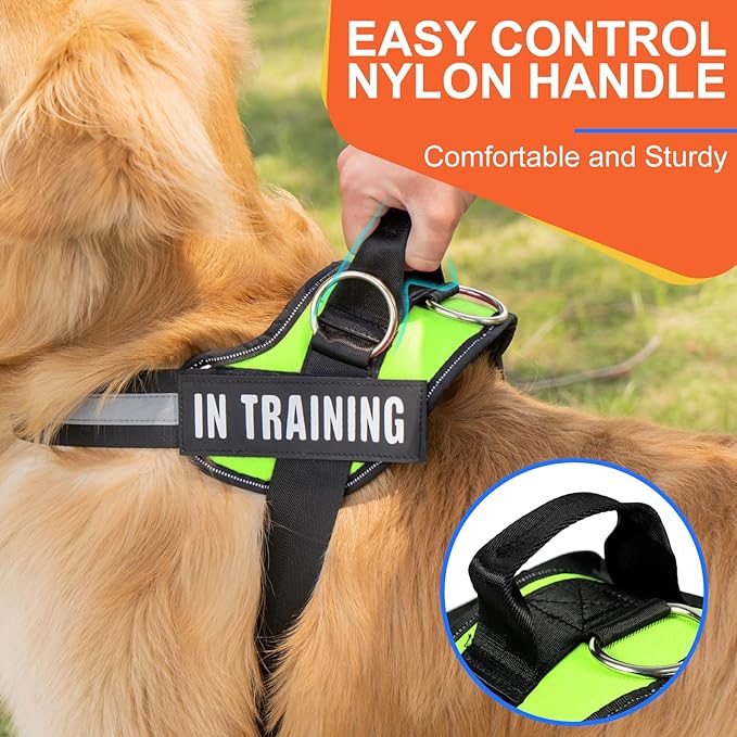 Essential Dog Harness, No Pull Pet Harness with 3 Side Rings for Leash Placement, No Choke, Reflective, Adjustable Pet Vest, Easy On-Off & Improved Control Handle, Training, Walking, Running