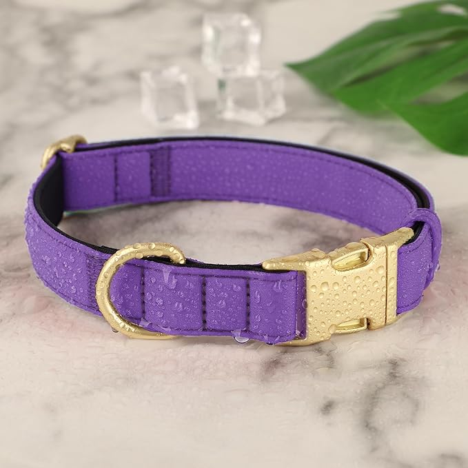 Didog Soft Padded Dog Collar for Large Dogs, Waterproof and Durable Pet Collar with Quick Release Buckle, Light and Breathable for Daily Walking,Purple,L(Neck15-23)