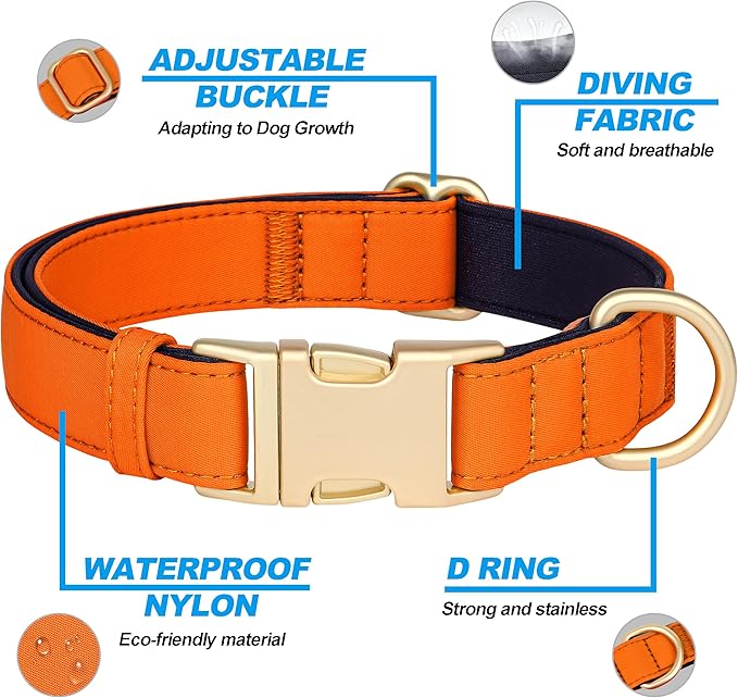 Didog Soft Padded Dog Collars for Medium Dogs, Waterproof and Durable Pet Collar with Quick Release Buckle, Light and Breathable for Daily Walking,Orange,M(Neck13-20)