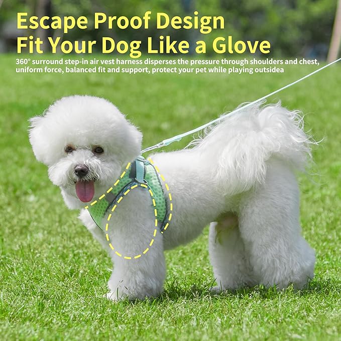 Summer Soft Dog Harness and Leash Set,Ultra Thin Breathable Diamond Mesh, Step in Adjustable Dog Harness with Padded Vest for Medium Size Dogs in Hot Weather Sage L