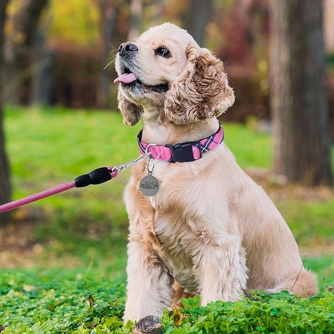 Nylon Dog Collar Soft Neoprene Padded Adjustable Dog Collars for Small Medium Large Dogs (S Neck 12"-15.5", Pink)